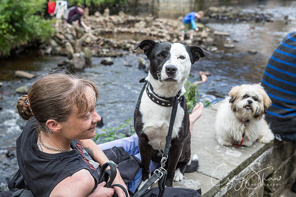 1907_HBAF2015_sunday28thJune_craigshawphoto