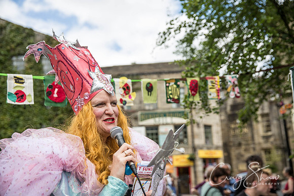 2004_HBAF2015_sunday28thJune_craigshawphoto-2