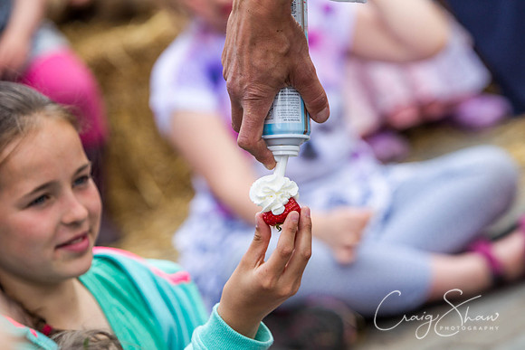 2034_HBAF2015_sunday28thJune_craigshawphoto