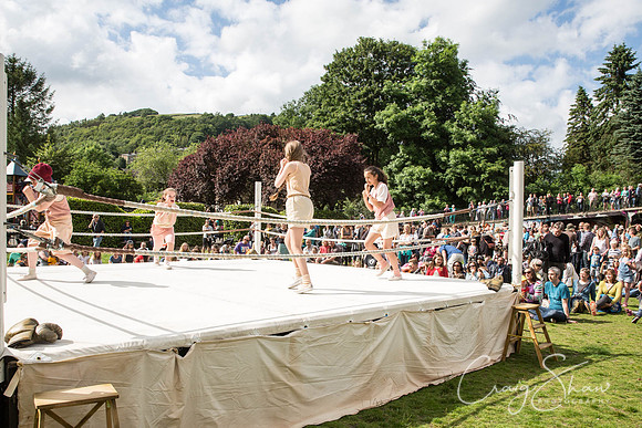 2640_HBAF2015_sunday28thJune_craigshawphoto