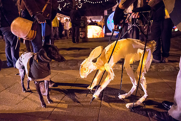 bluplanet_VOL_Hebden-556-Edit