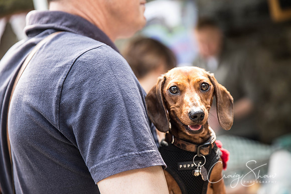 42_HeptonstallFestival2015_craigshawphoto