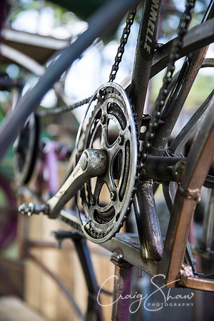 155_FleetwoodTramSunday2015_craigshaw