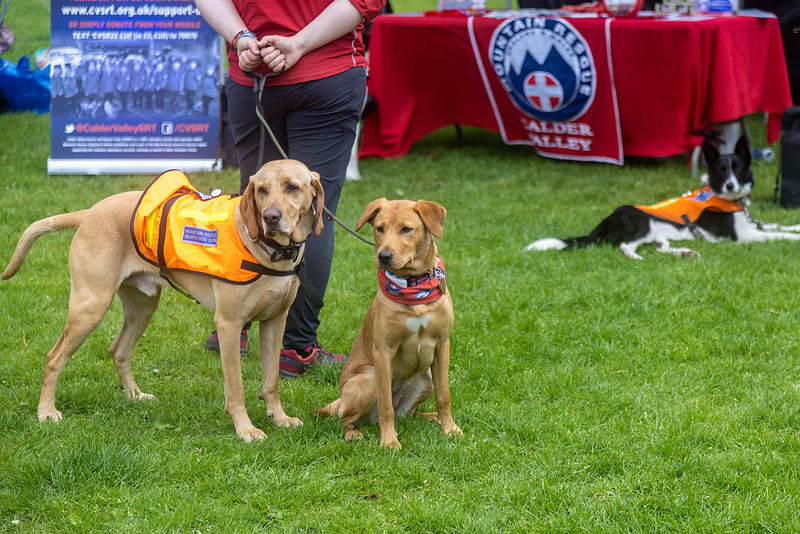 2354_HebdensHappyHounds2024_Cshaw-