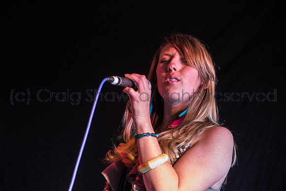 1732_HebdenBridgeBluesFestival2014_Sunday_craigshaw