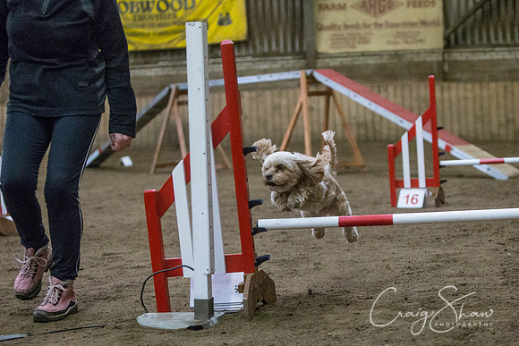 1669_springfling2015_bluplanetphoto
