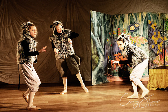 nutcracker_Dec17-114_bluplanet-Edit