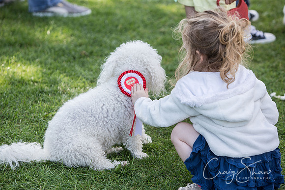 2571_K9Partyinthepark2014_RSPCAHalifax_bluplanetphoto