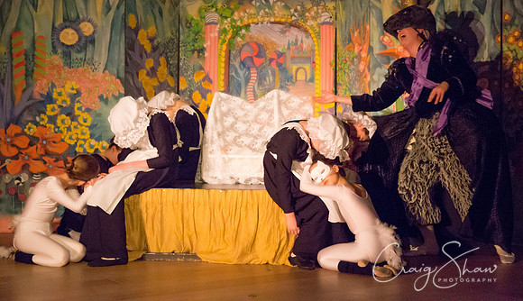nutcracker_Dec17-270_bluplanet-Edit