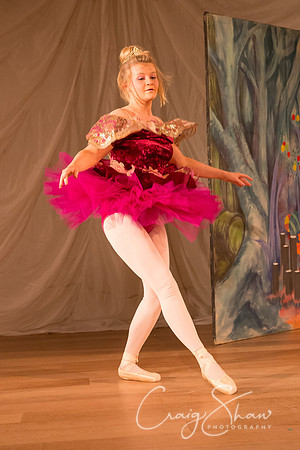 nutcracker_Dec17-752_bluplanet