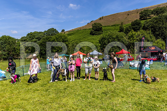 1846__PAWSFundogShow_July2022_cshaw