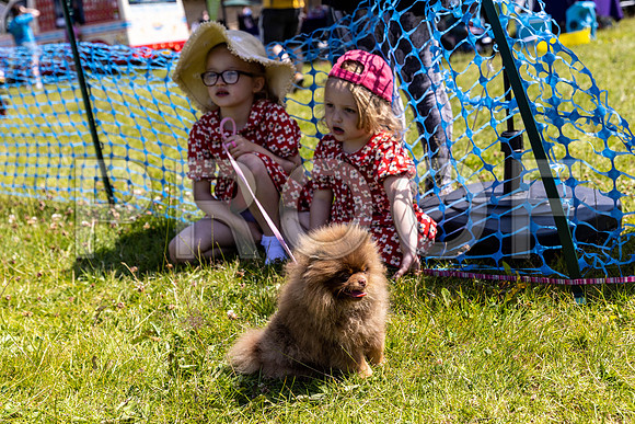 1885__PAWSFundogShow_July2022_cshaw