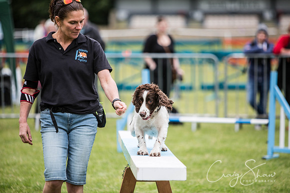 388_WJsCanineFunDay2015_craigshaw