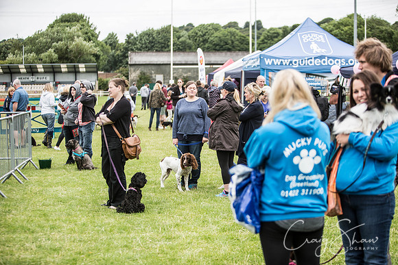 558_WJsCanineFunDay2015_craigshaw