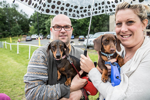 748_WJsCanineFunDay2015_craigshaw