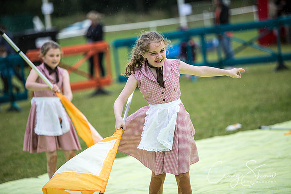 927_WJsCanineFunDay2015_craigshaw