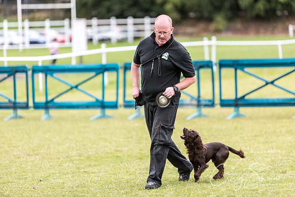 118_WJsCanineFunDay2015_craigshaw