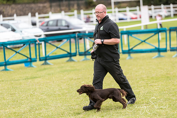 119_WJsCanineFunDay2015_craigshaw