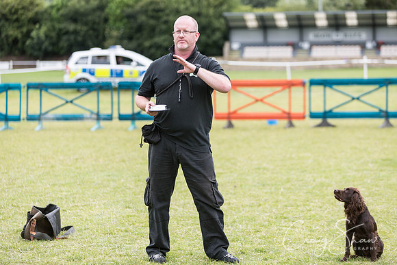 131_WJsCanineFunDay2015_craigshaw