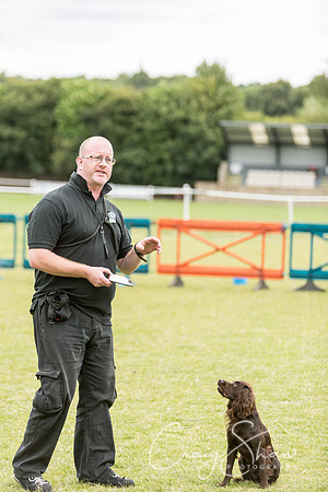 137_WJsCanineFunDay2015_craigshaw