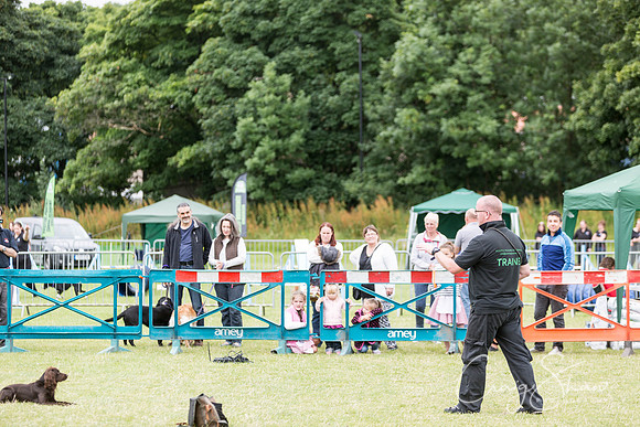 148_WJsCanineFunDay2015_craigshaw