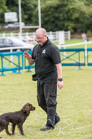 176_WJsCanineFunDay2015_craigshaw