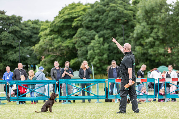187_WJsCanineFunDay2015_craigshaw