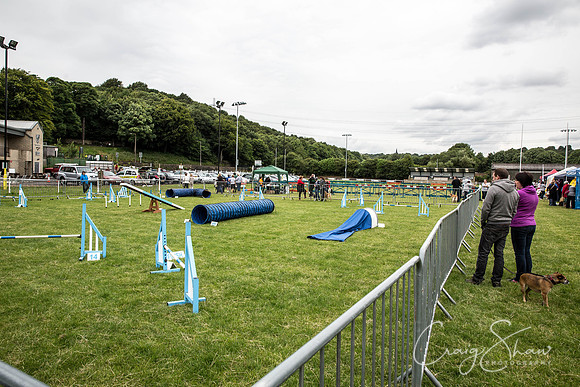 335_WJsCanineFunDay2015_craigshaw
