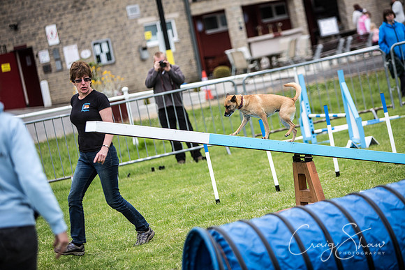 353_WJsCanineFunDay2015_craigshaw