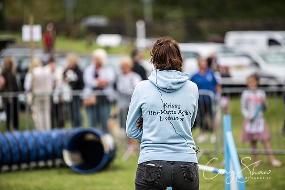 359_WJsCanineFunDay2015_craigshaw