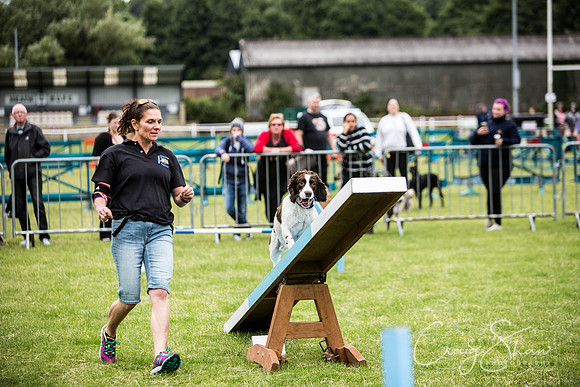 385_WJsCanineFunDay2015_craigshaw
