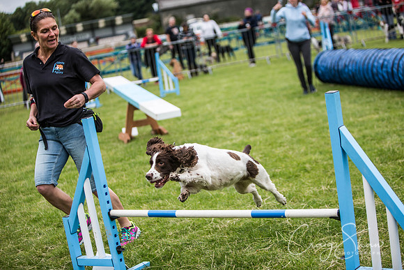 392_WJsCanineFunDay2015_craigshaw
