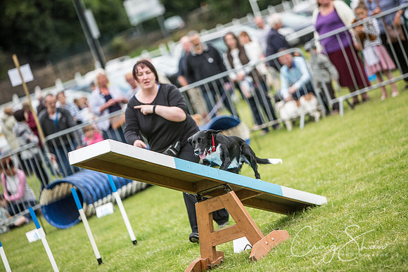 423_WJsCanineFunDay2015_craigshaw