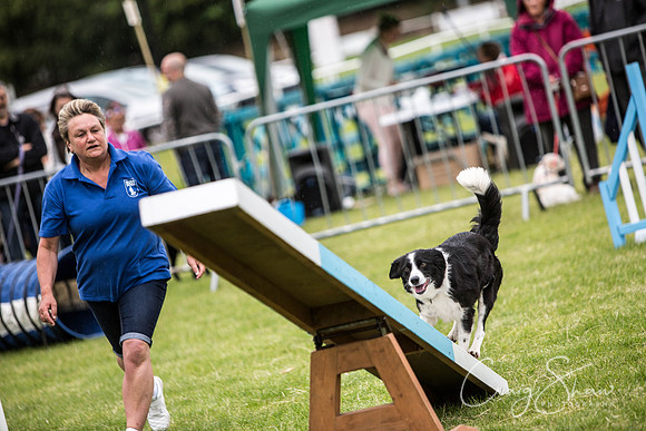 450_WJsCanineFunDay2015_craigshaw