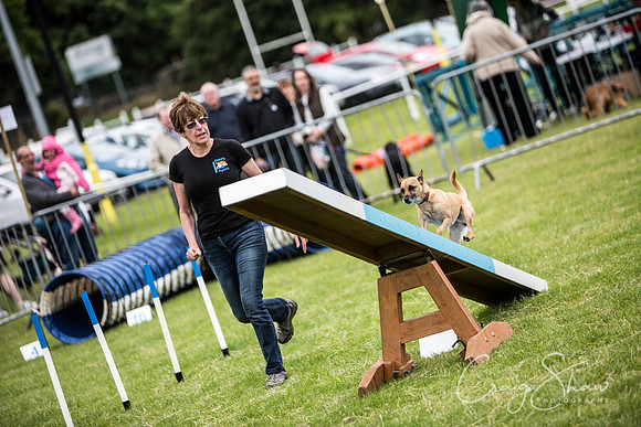 492_WJsCanineFunDay2015_craigshaw