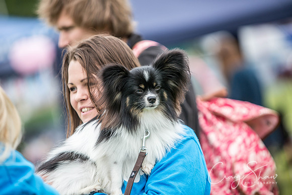 561_WJsCanineFunDay2015_craigshaw