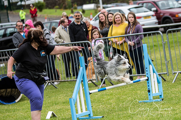 564_WJsCanineFunDay2015_craigshaw