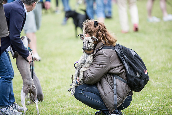 582_WJsCanineFunDay2015_craigshaw