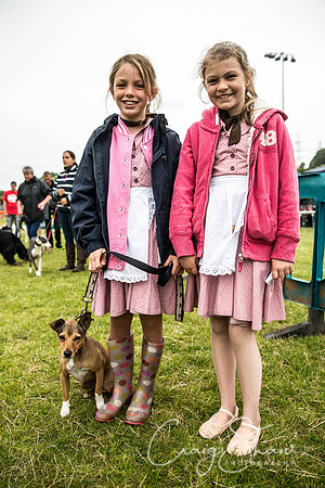 725_WJsCanineFunDay2015_craigshaw