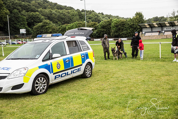 880_WJsCanineFunDay2015_craigshaw