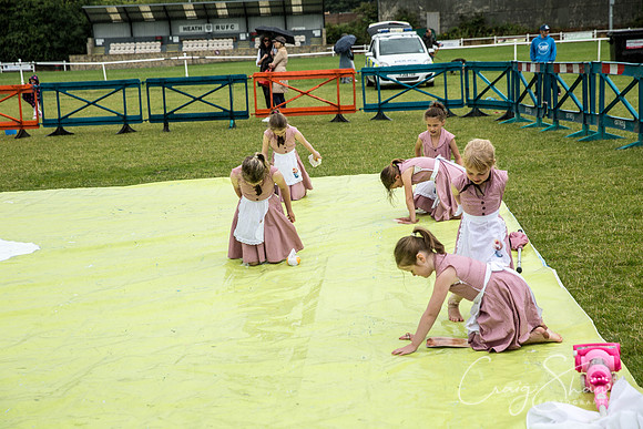 919_WJsCanineFunDay2015_craigshaw
