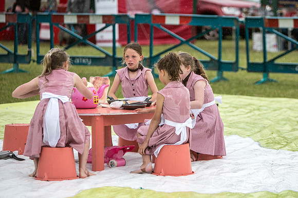 951_WJsCanineFunDay2015_craigshaw