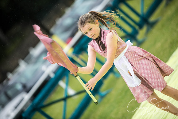 961_WJsCanineFunDay2015_craigshaw