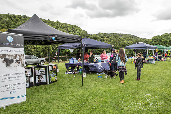 2_RSPCAHXHuddsDogDayAfternoon2015_craigshaw