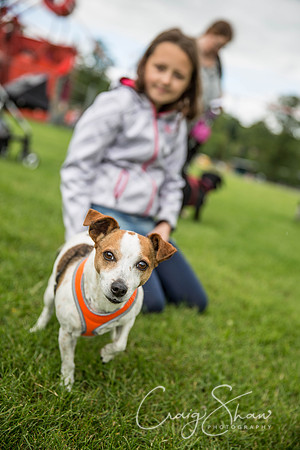 511_RSPCAHXHuddsDogDayAfternoon2015_craigshaw