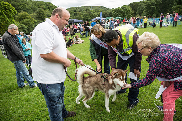 536_RSPCAHXHuddsDogDayAfternoon2015_craigshaw