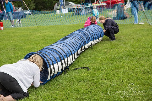 625_RSPCAHXHuddsDogDayAfternoon2015_craigshaw