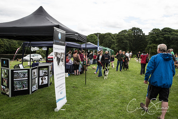 833_RSPCAHXHuddsDogDayAfternoon2015_craigshaw