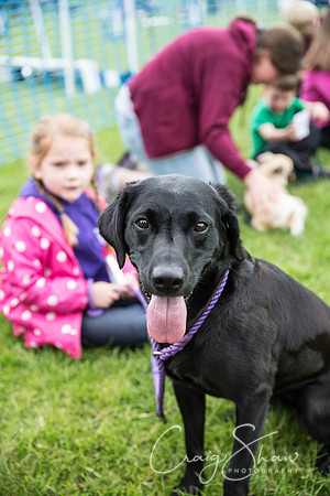 852_RSPCAHXHuddsDogDayAfternoon2015_craigshaw