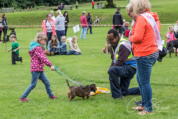 969_RSPCAHXHuddsDogDayAfternoon2015_craigshaw